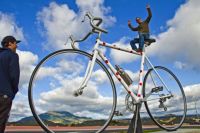 Top 10 'BIG THINGS' To Visit In The North Island