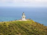 Auckland to Kaitaia to Auckland - 7 days